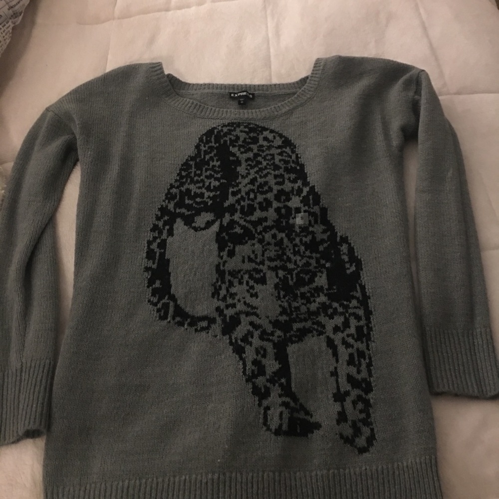 Express Grey Tiger Body Sweater